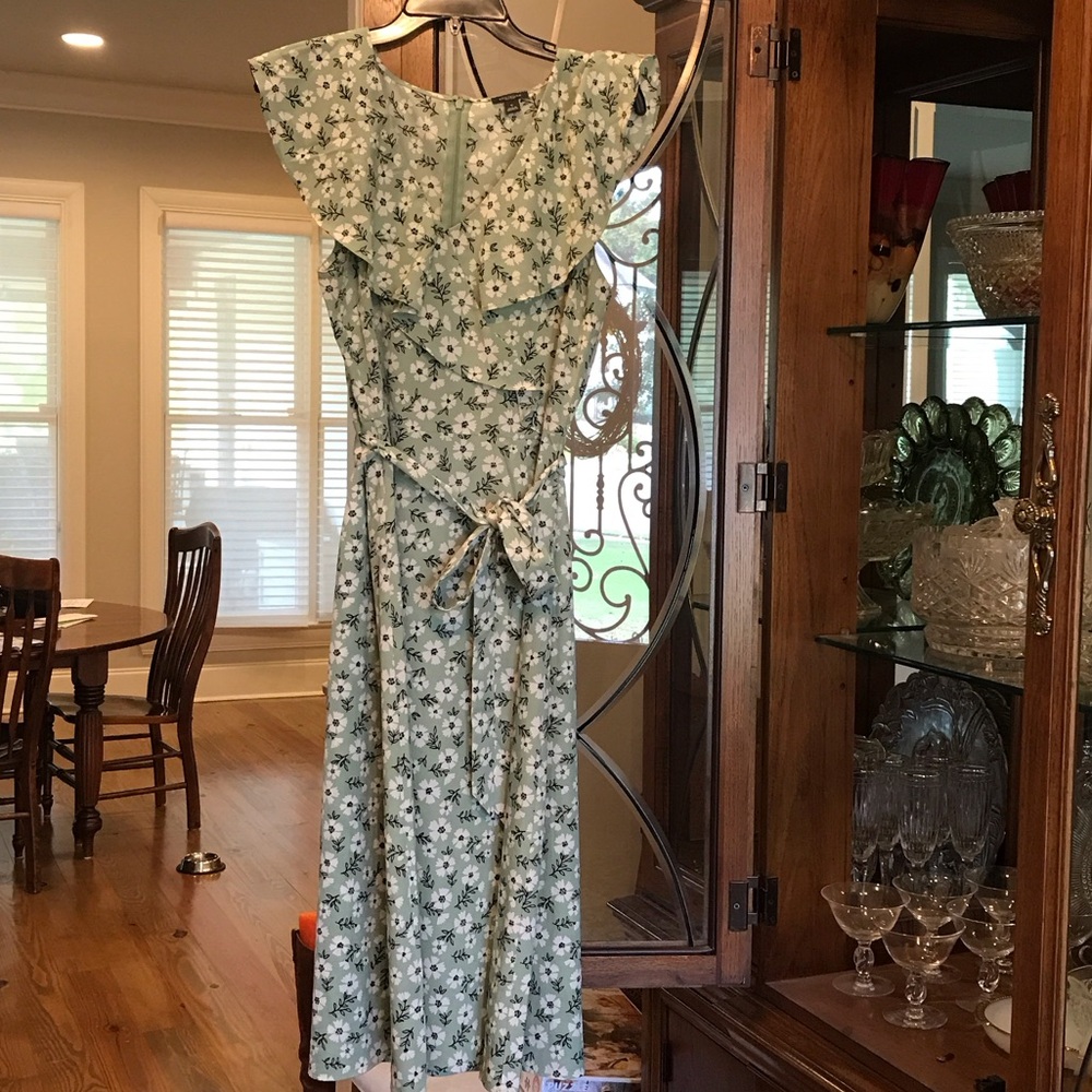 Ann Taylor Factory Mint Floral Midi Dress